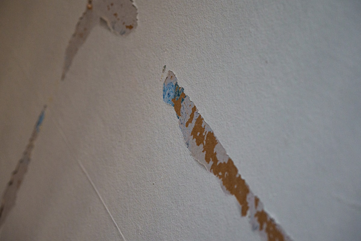 Basement Water Removal service in Johns Creek, GA